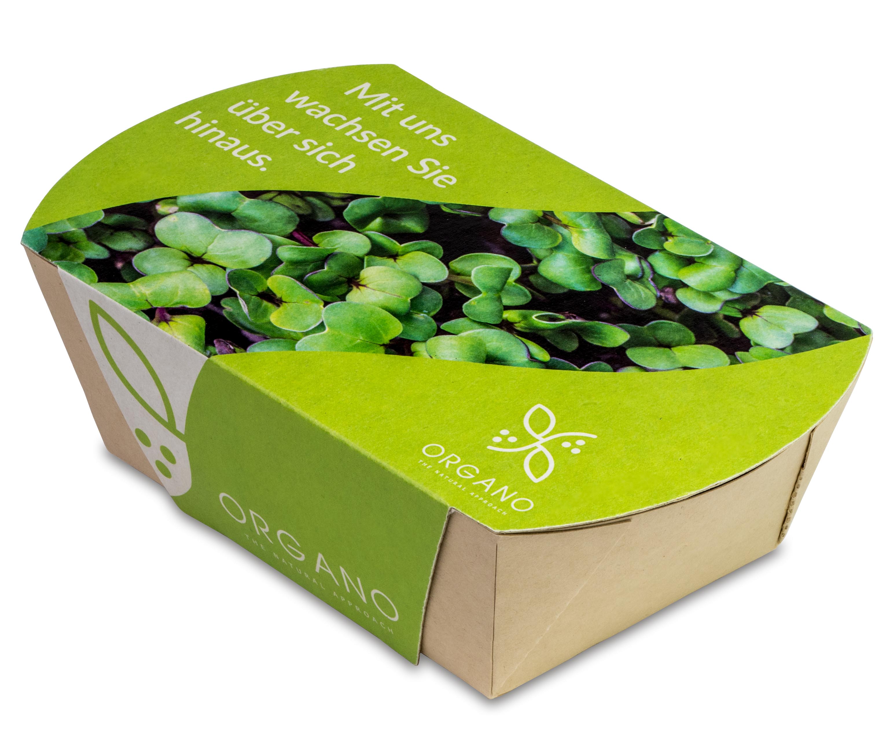 Microgreens-Gärtchen Microgreens-Gärtchen