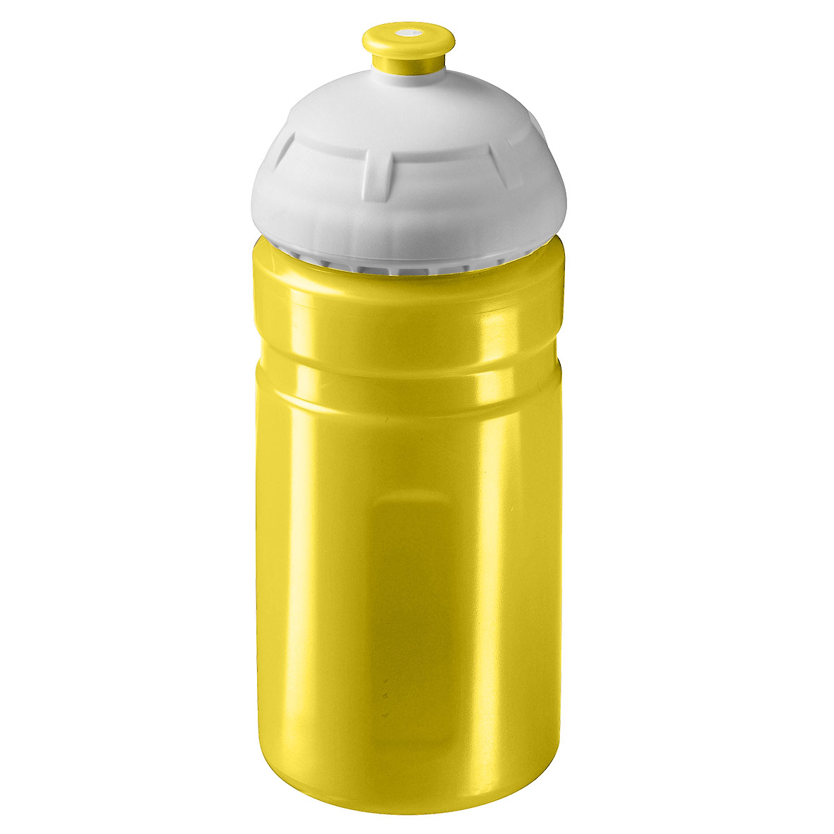 Trinkflasche Champion 0,55 l