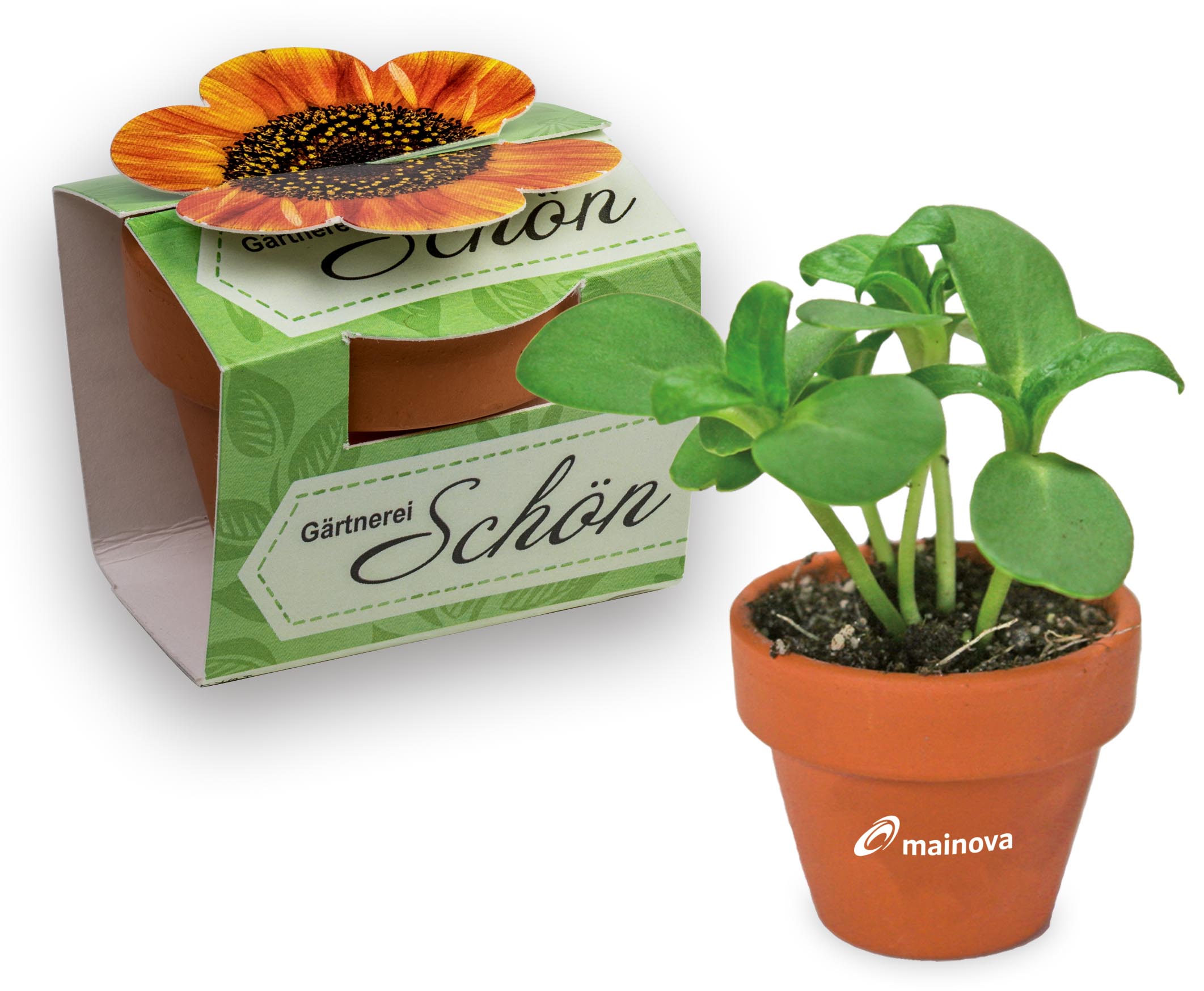 Tontöpfchen-Blume Tampondruck Tontöpfchen-Blume Tampondruck