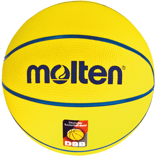 Molten Trainingsball