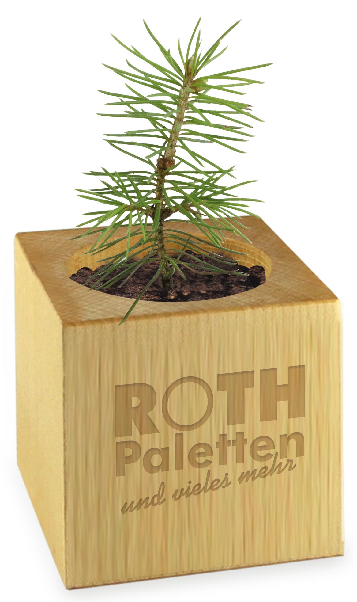 Pflanz-Holz Weihnachten Standardmotiv