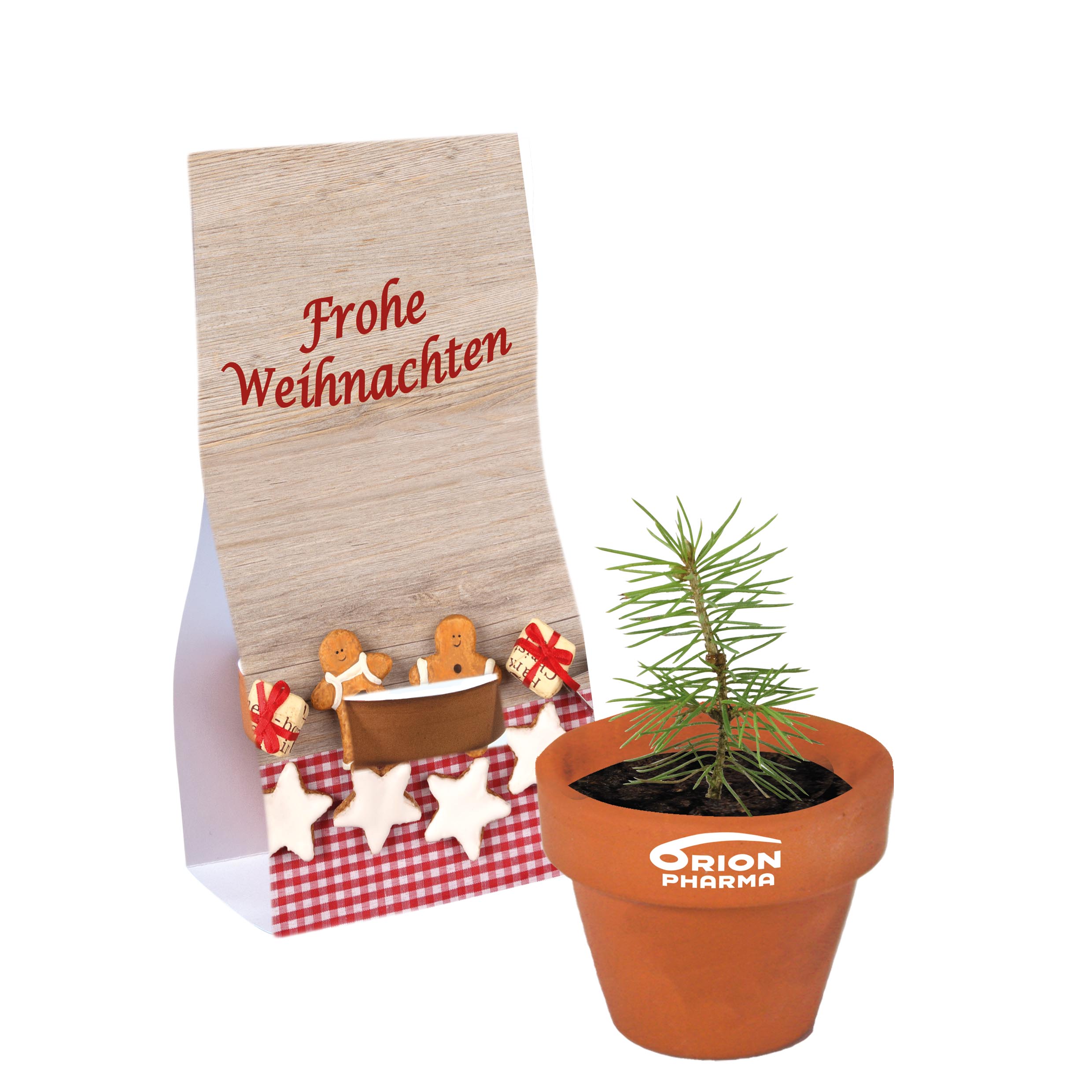 Logo-Töpfchen Fichtensamen Logo-Töpfchen Fichtensamen