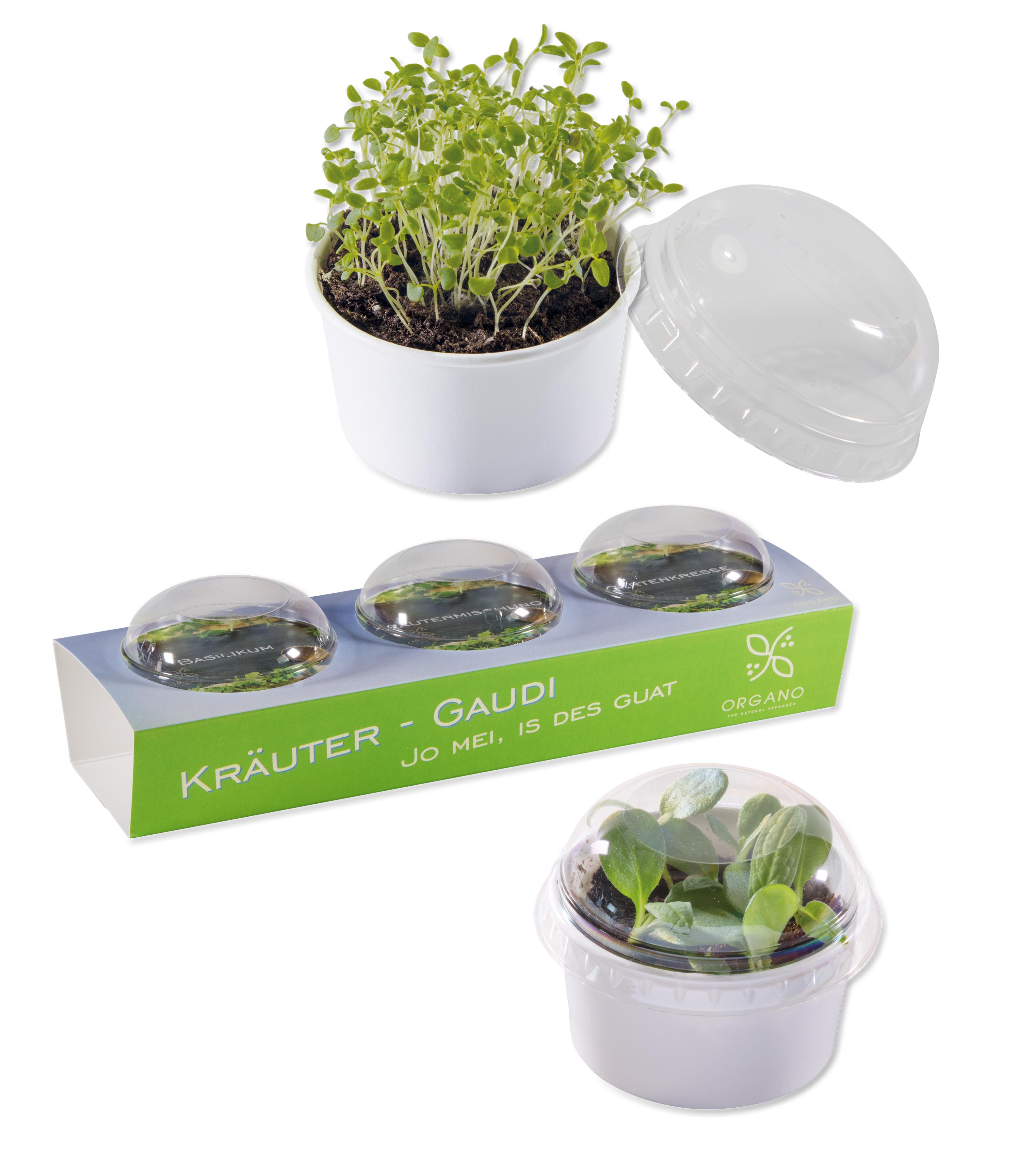 3er-Set Mini-Gewächshaus 3er-Set Mini-Gewächshaus