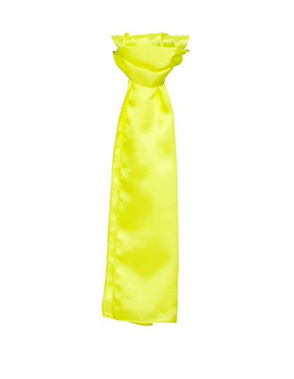 TYTO Satin Scarf