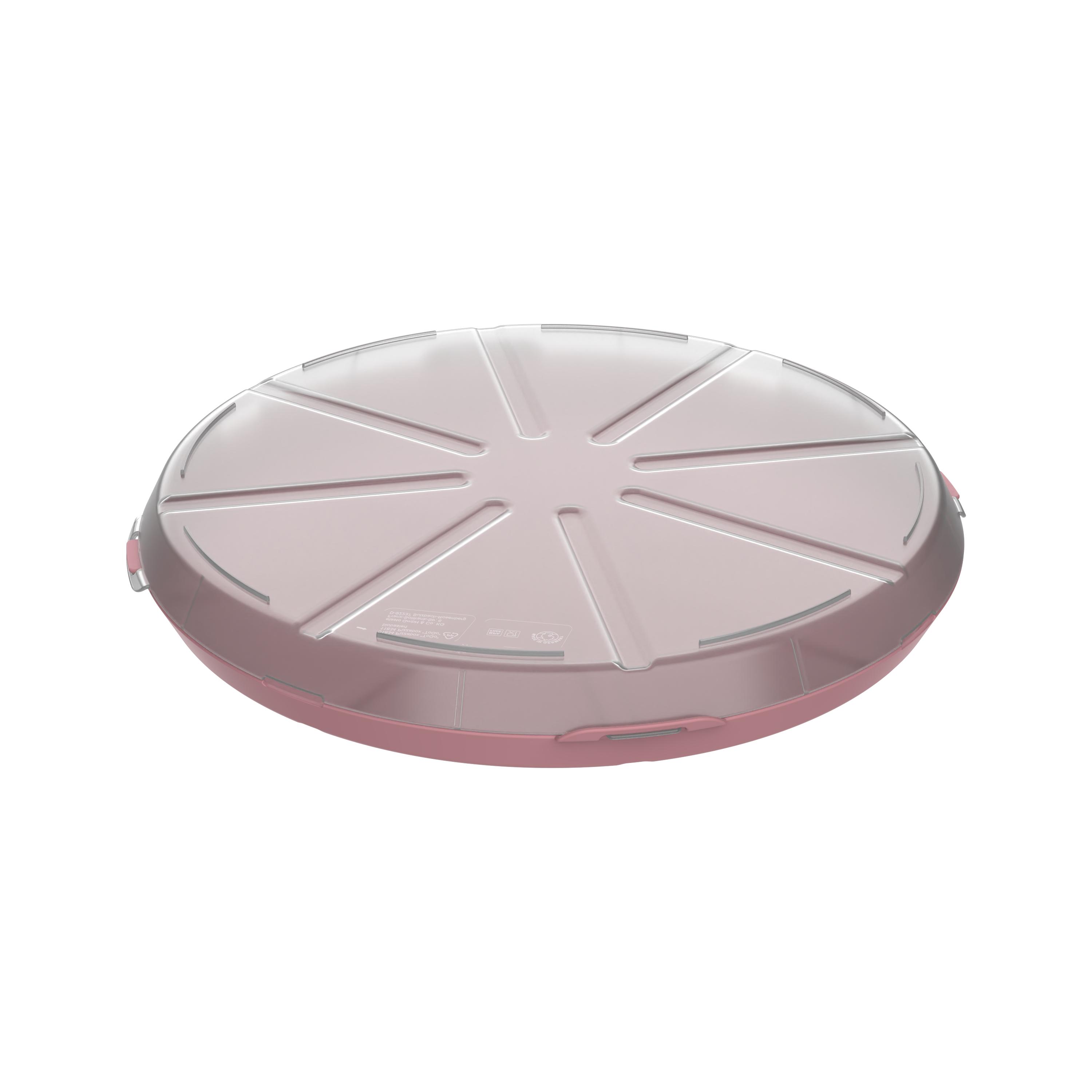 Pizzabox ToGo