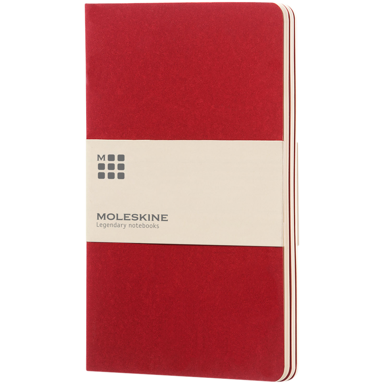 Moleskine Cahier Journal L – blanko