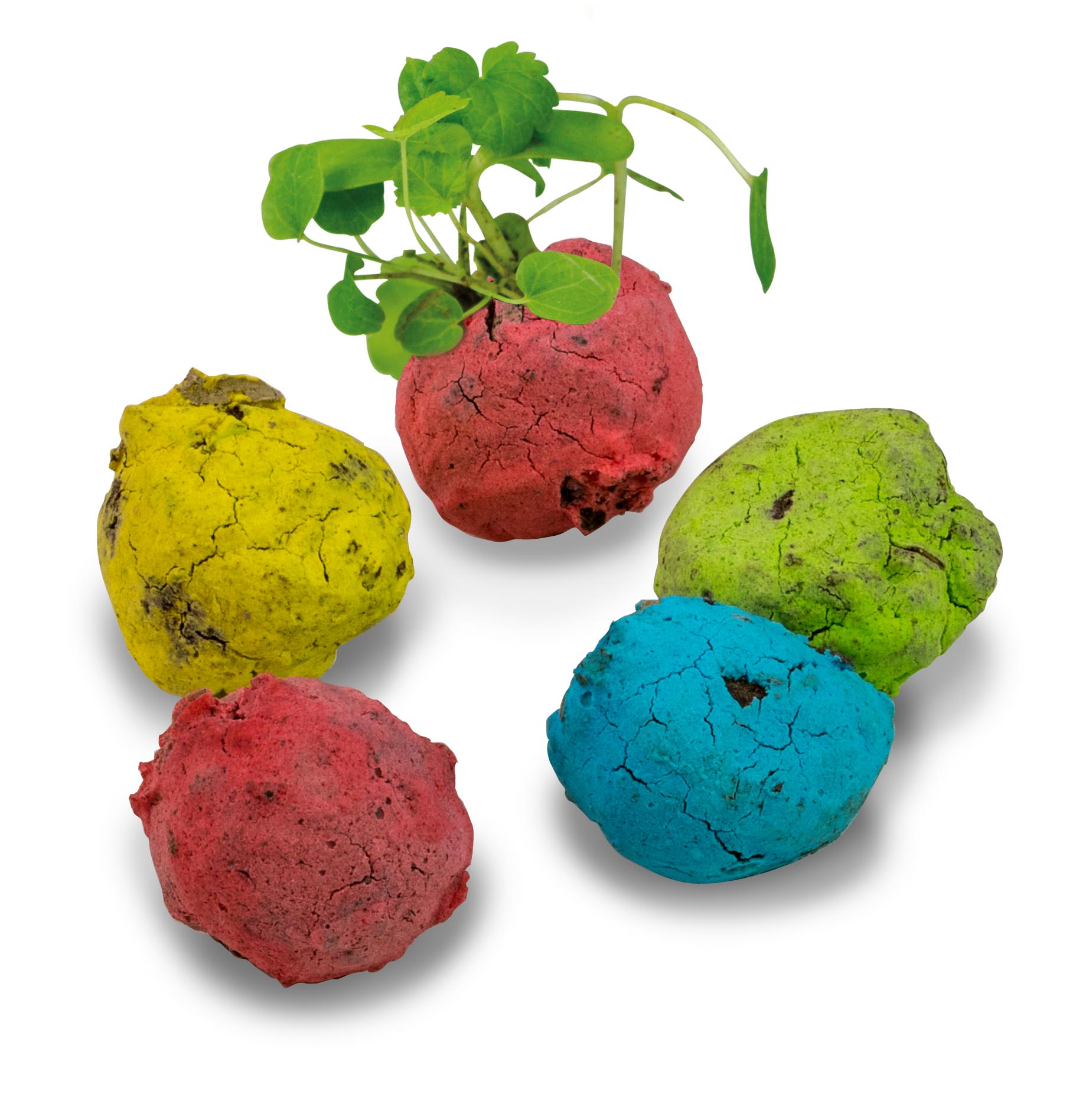 Bunte Mini Flower-Balls