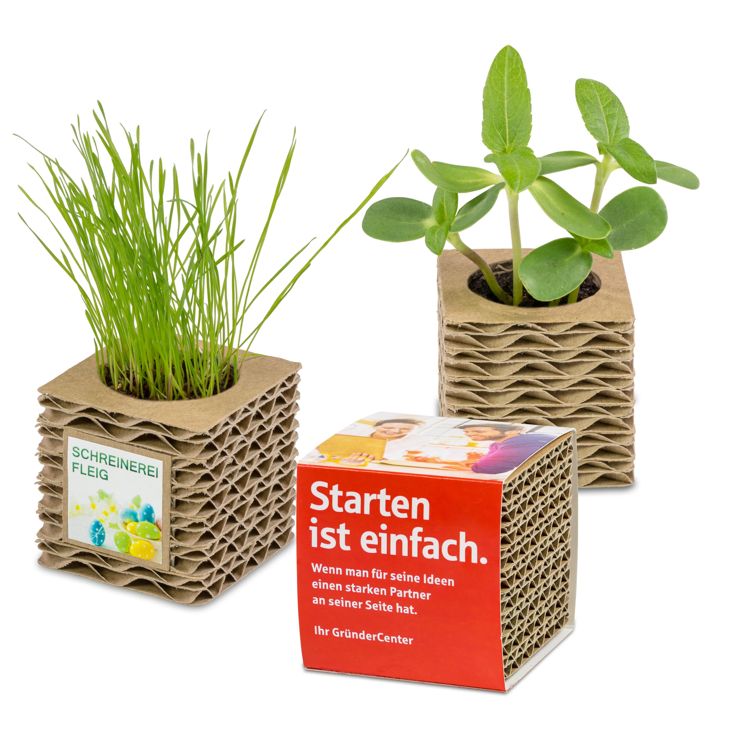 Wellkarton-Pflanzwürfel Mini Wellkarton-Pflanzwürfel Mini