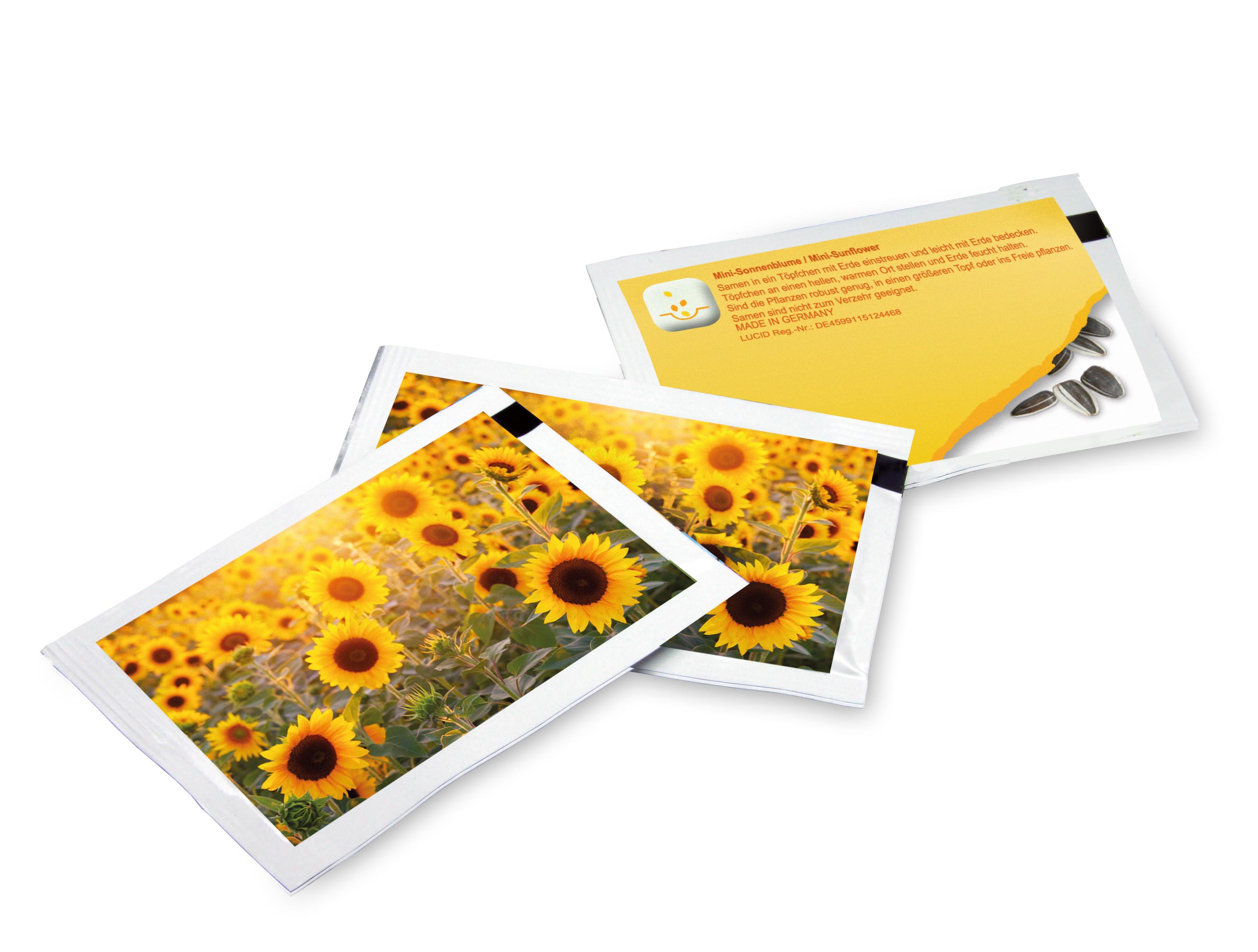 Samen-Briefchen Sonnenblume