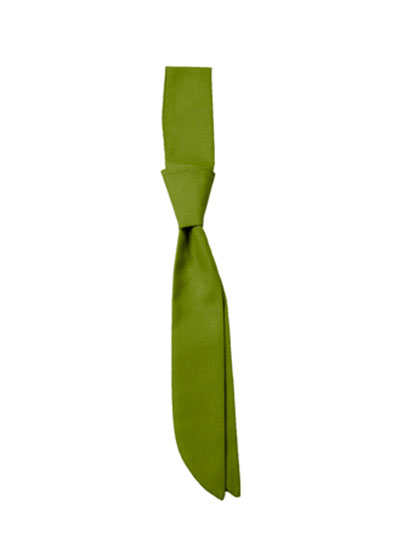 CG Workwear Short Tie Siena