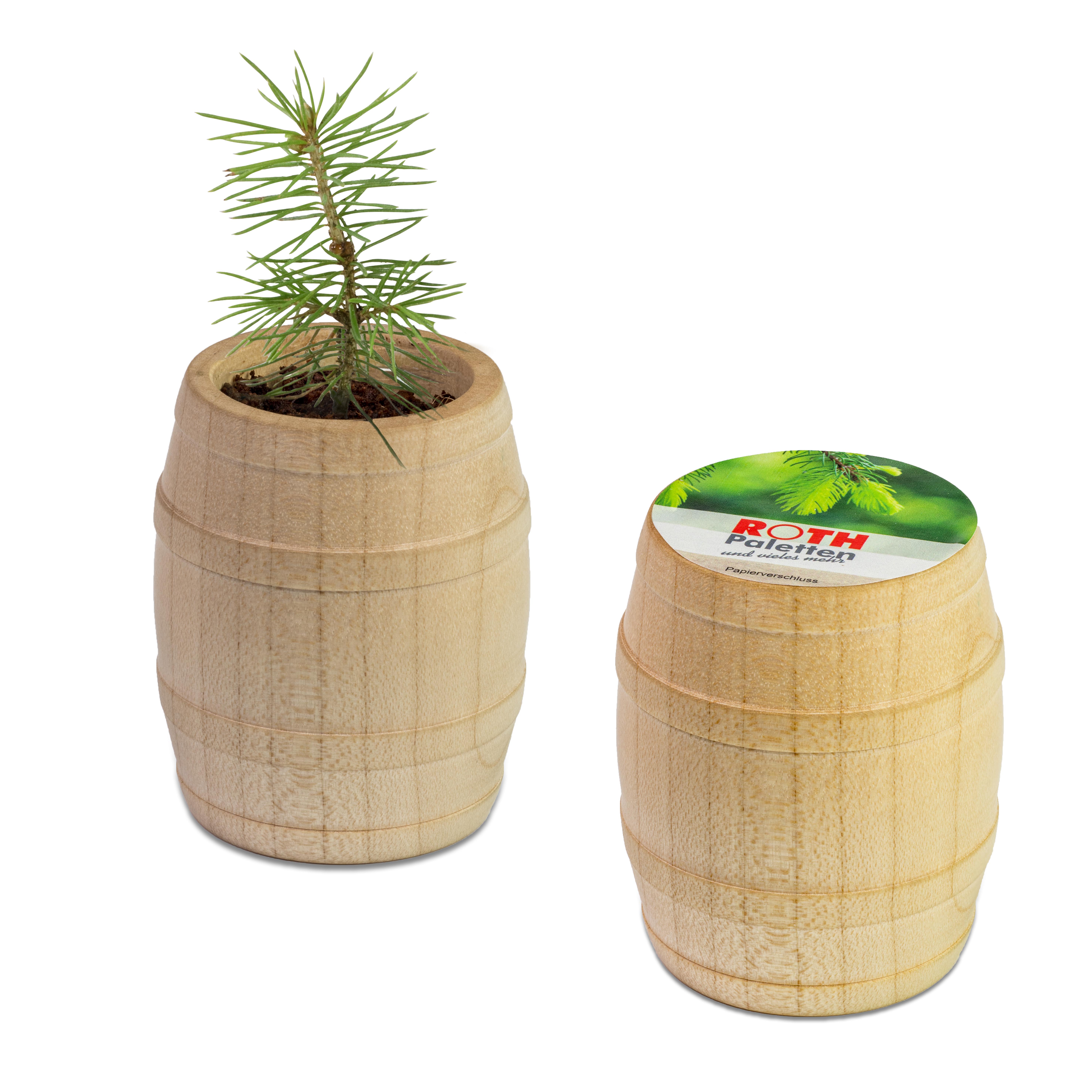 Pflanz-Fässchen Pflanz-Fässchen