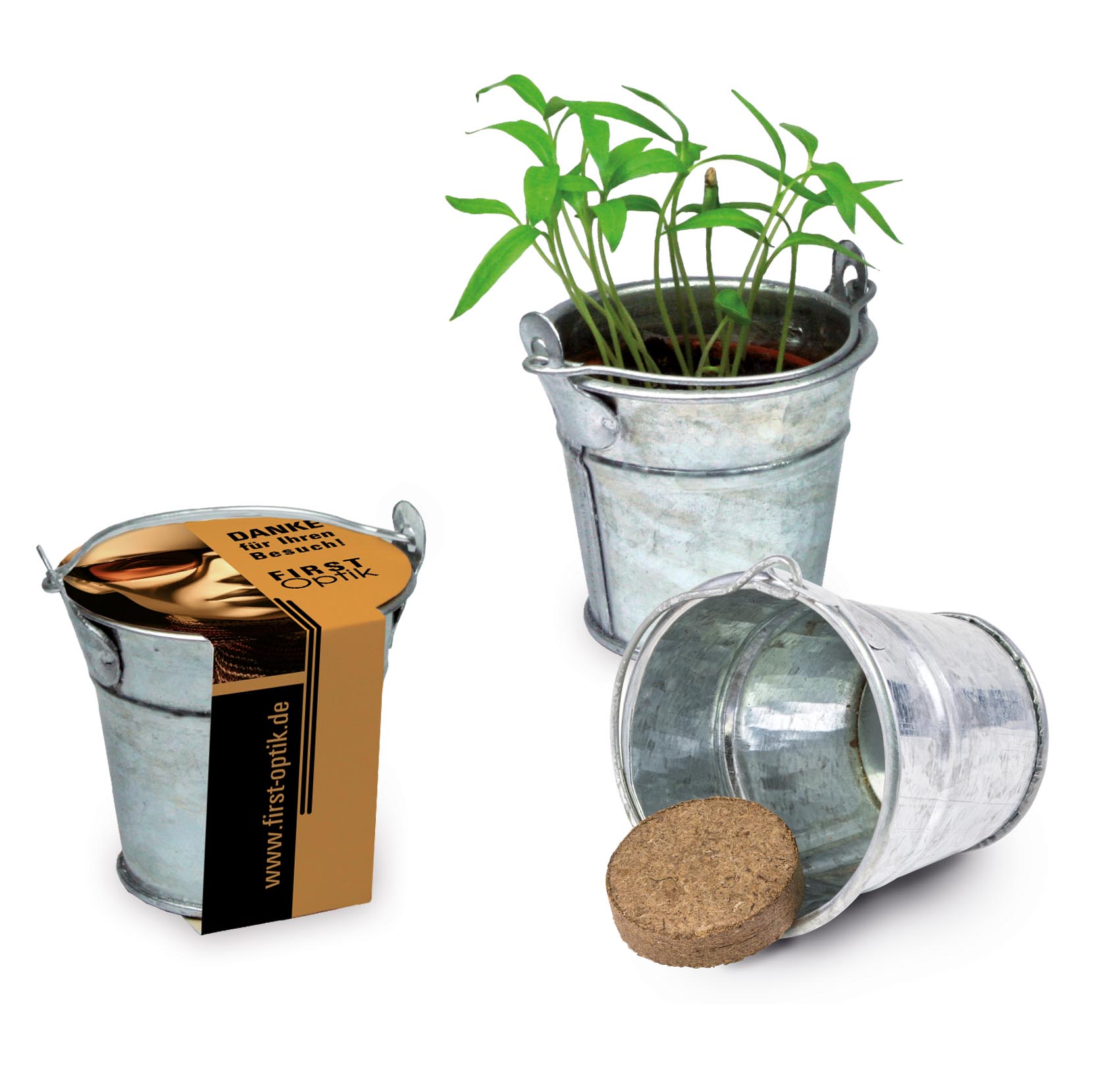 Pflanzeimerchen Pflanzeimerchen