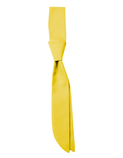 CG Workwear Short Tie Siena