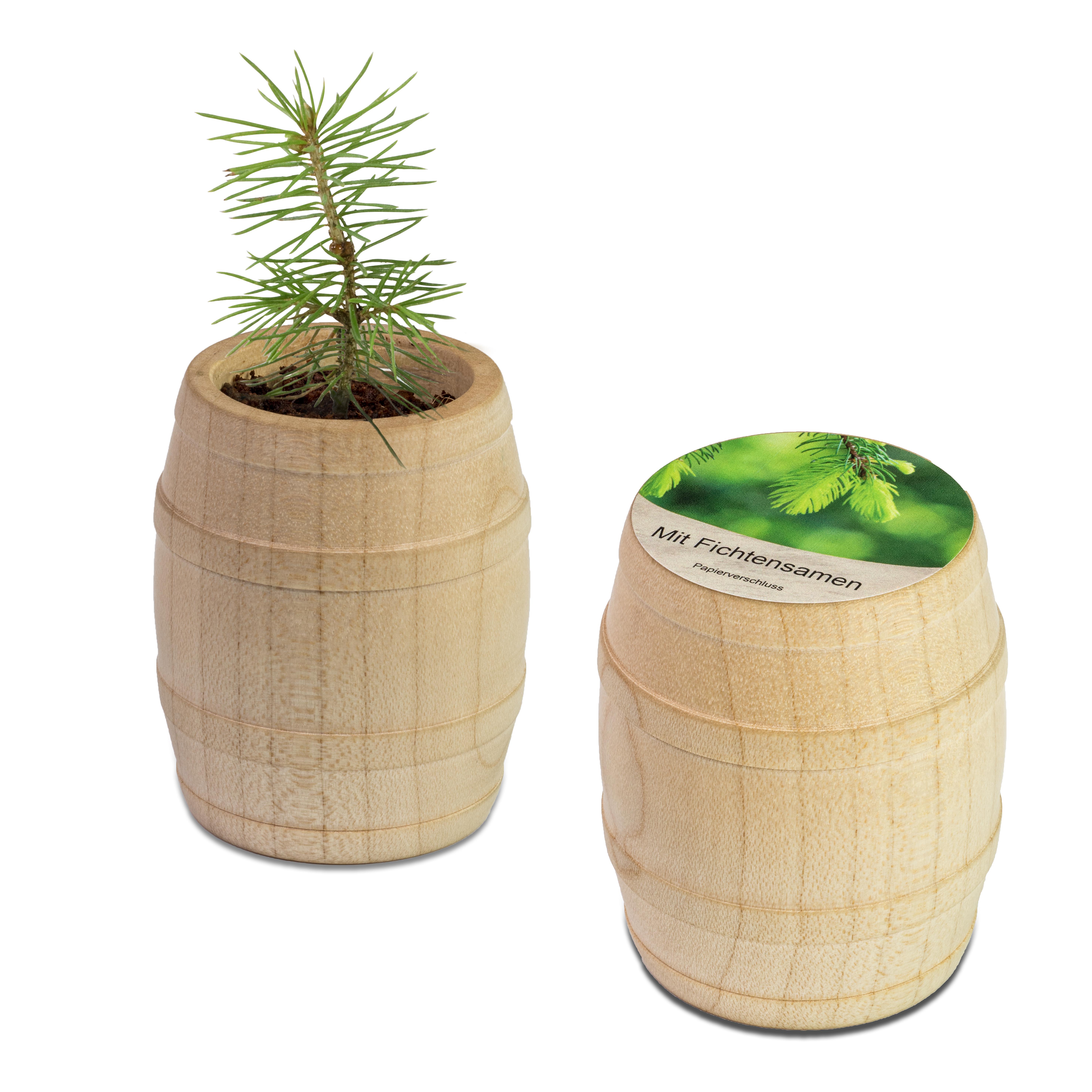 Pflanz-Fässchen Fichte Pflanz-Fässchen Fichte