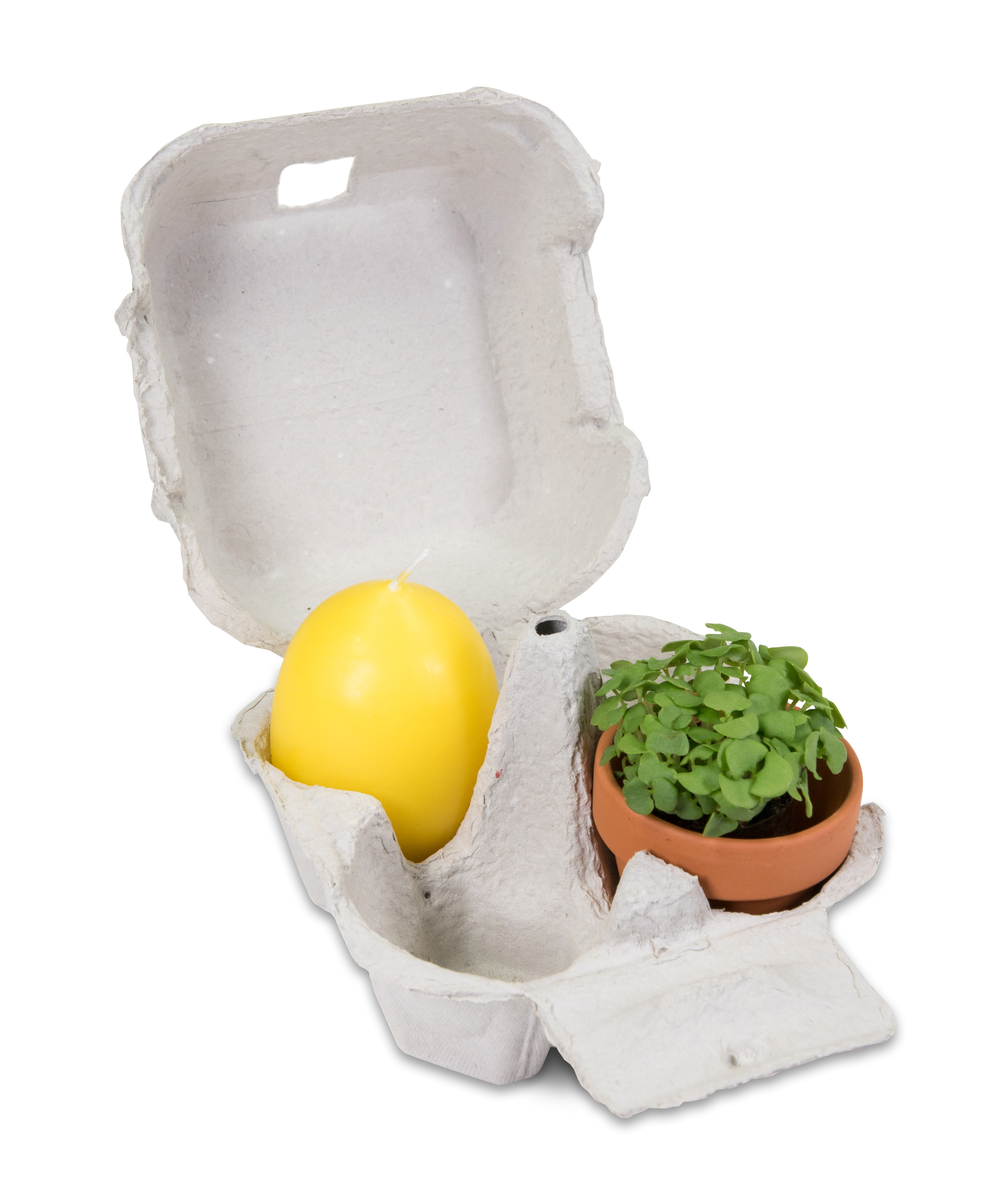 Das Gelbe vom Ei V1 Das Gelbe vom Ei V1