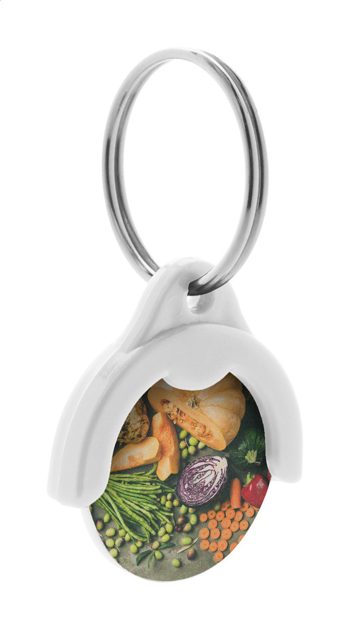 Schlüsselanhänger mit Einkaufswagen-Chip Token Schlüsselanhänger mit Einkaufswagen-Chip Token