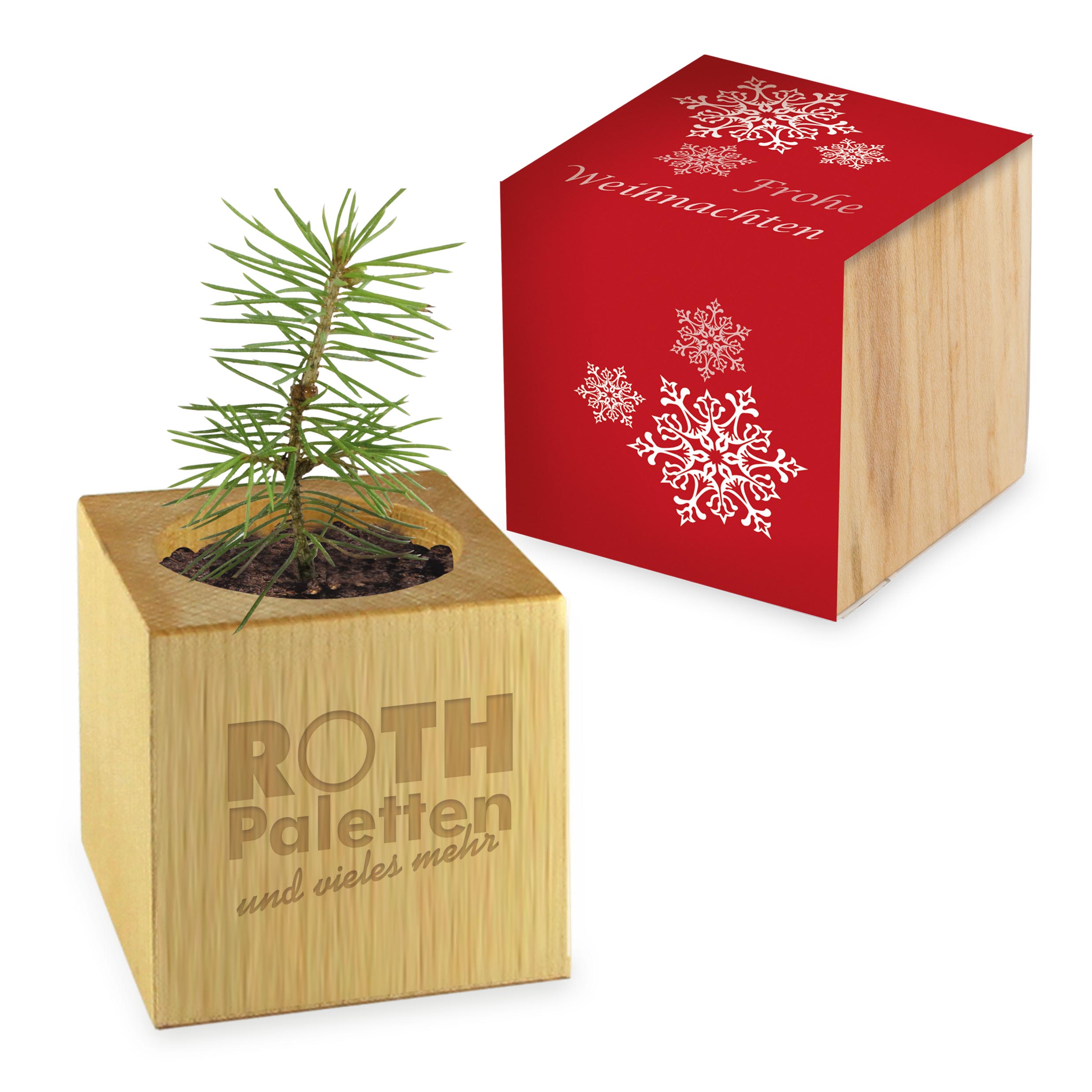 Pflanz-Holz Weihnachten Standardmotiv