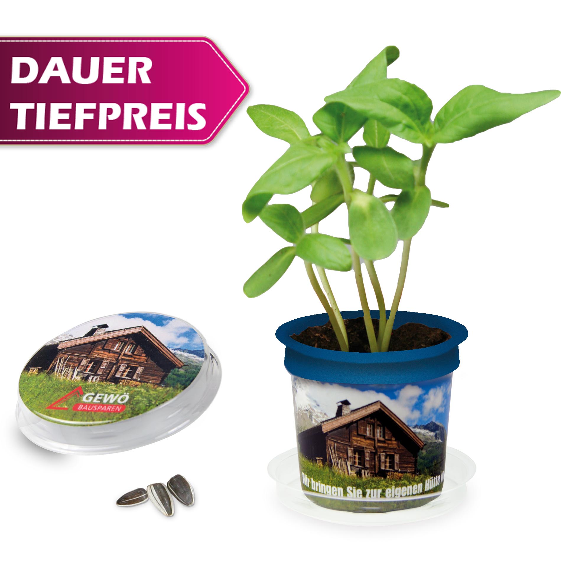 Florero-Töpfchen Einleger und Banderole Florero-Töpfchen Einleger und Banderole