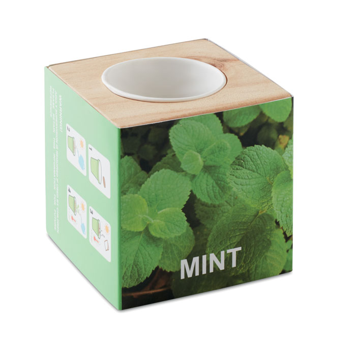 Kräuterpflanz-Set "Minze''