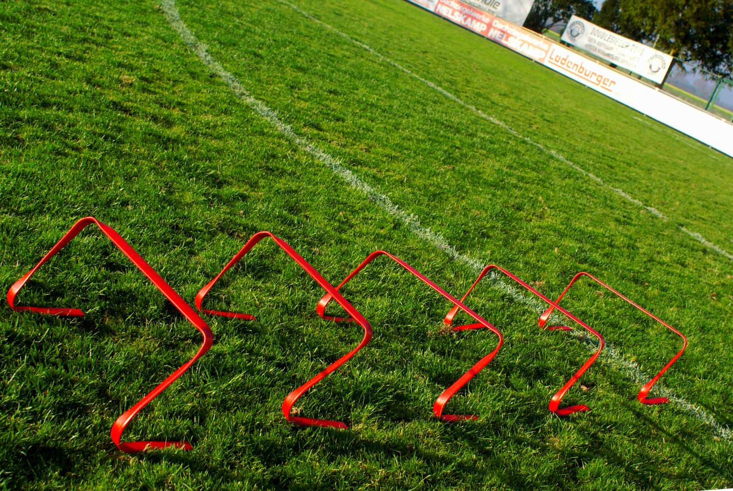 Flexible Hecke - 30cm Flexible Hecke - 30cm