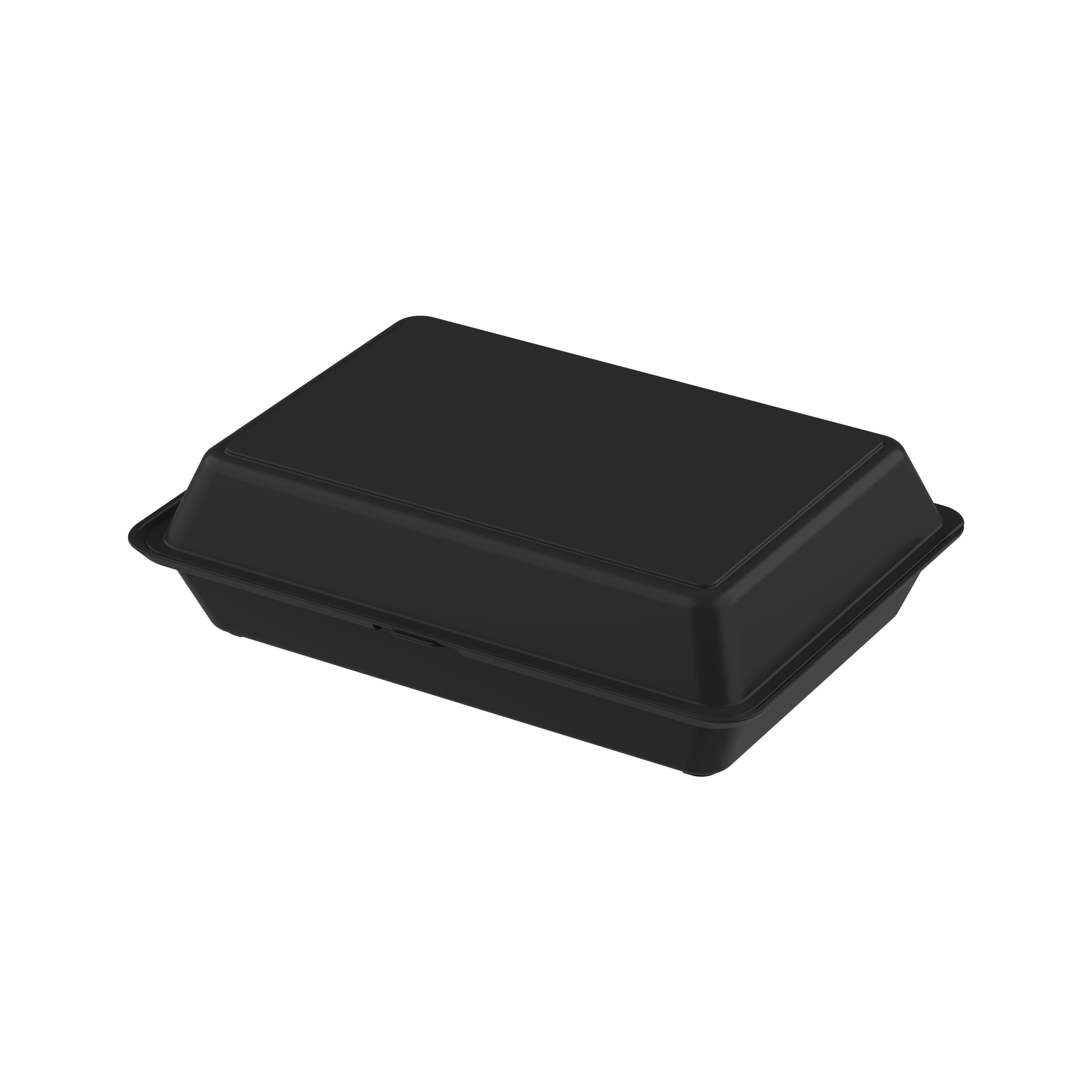 Menübox ToGo XL, ohne Trennstege Menübox ToGo XL, ohne Trennstege