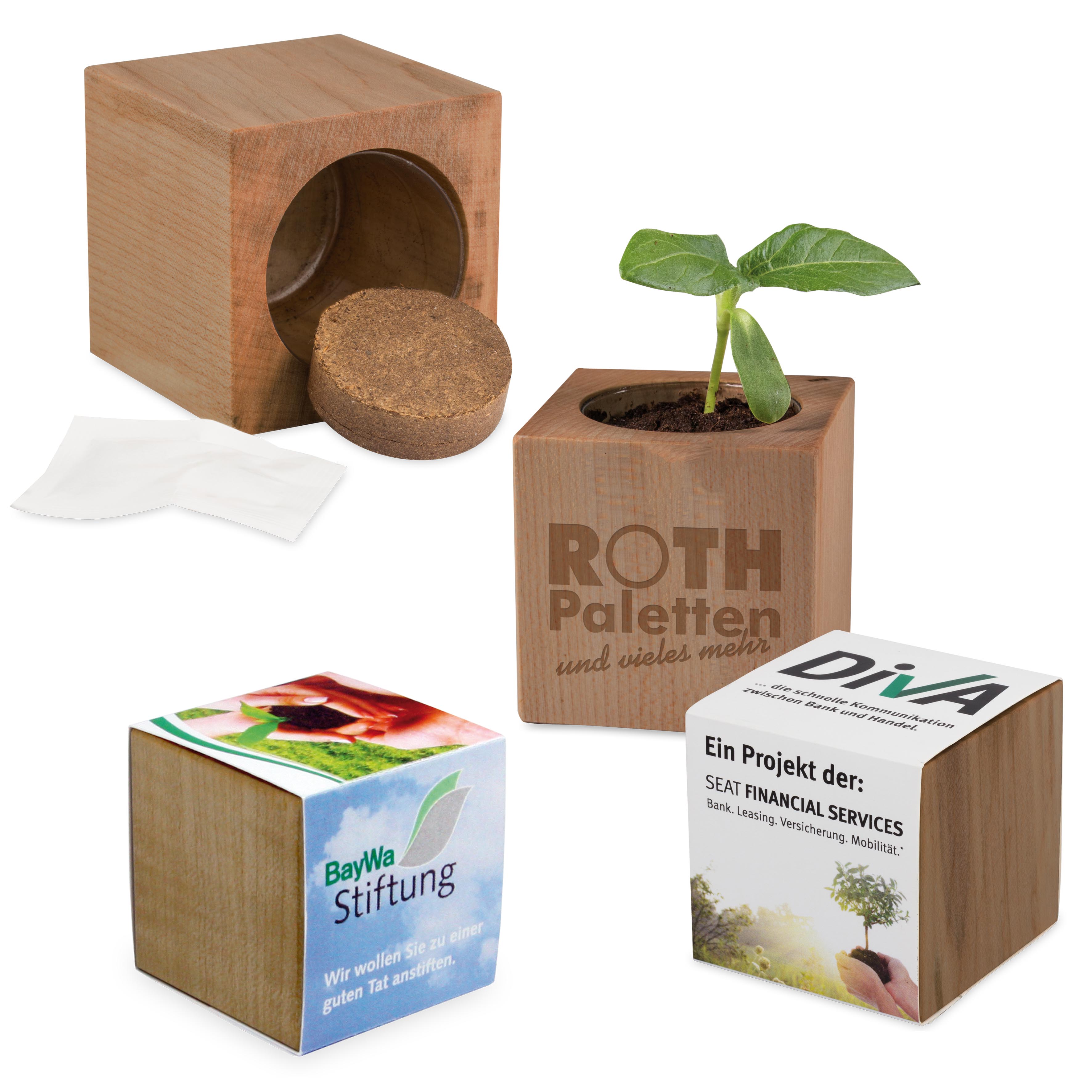 Pflanz-Holz Erle Graspapier 1 Seite gelasert Pflanz-Holz Erle Graspapier 1 Seite gelasert