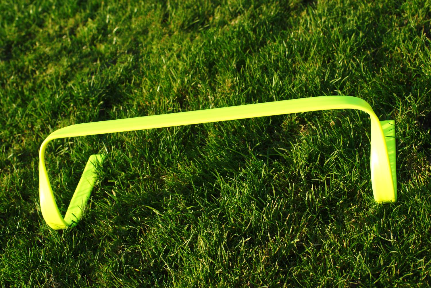 Flexible Hecke - 15cm Flexible Hecke - 15cm