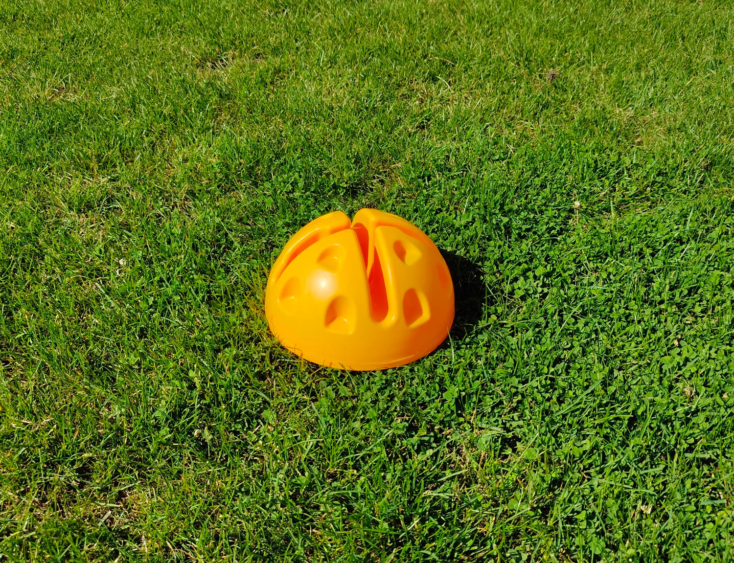 Dome-Basis für Slalomstangen oder Reifen Dome-Basis für Slalomstangen oder Reifen