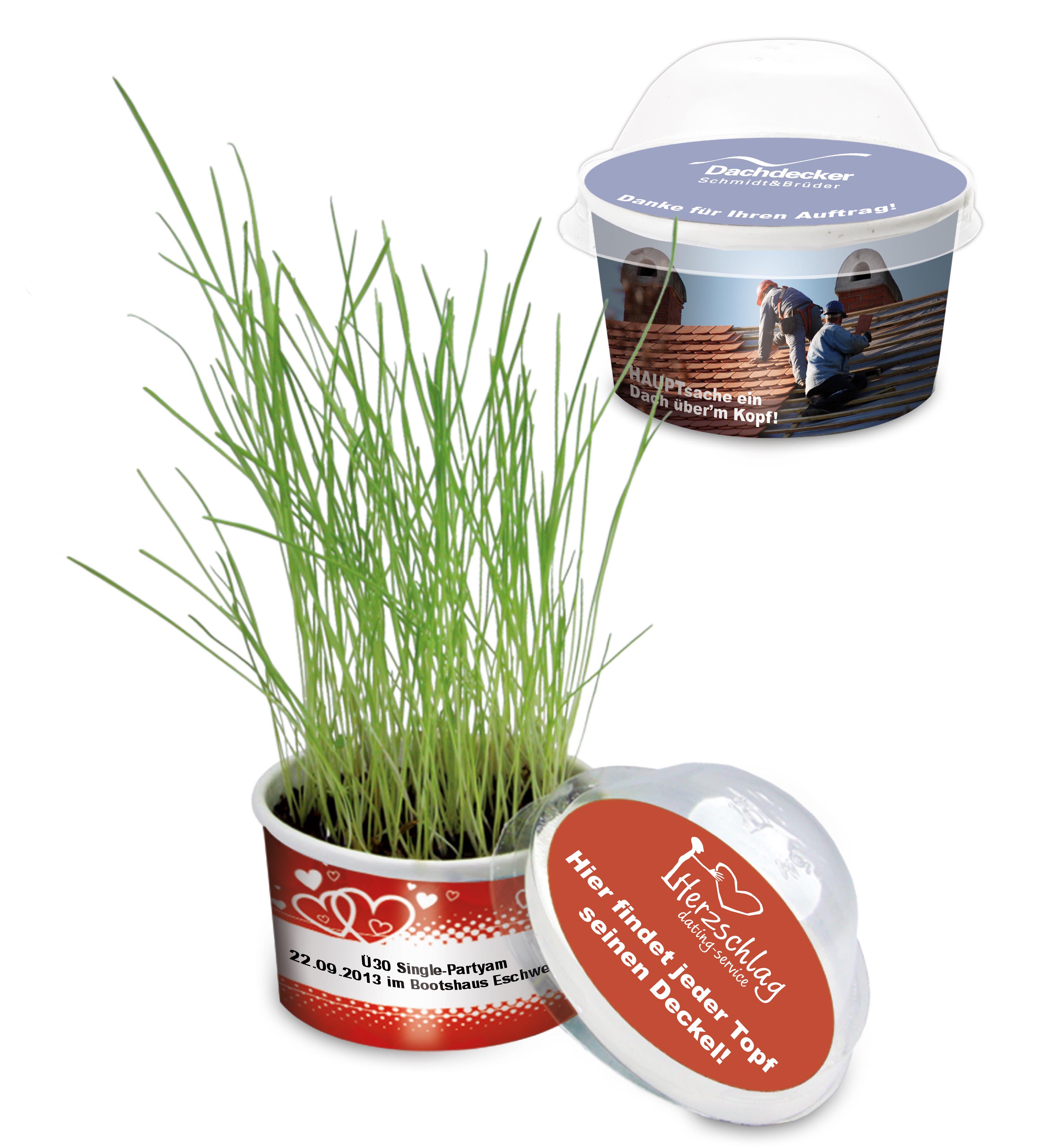 Mini-Gewächshaus Mini-Gewächshaus