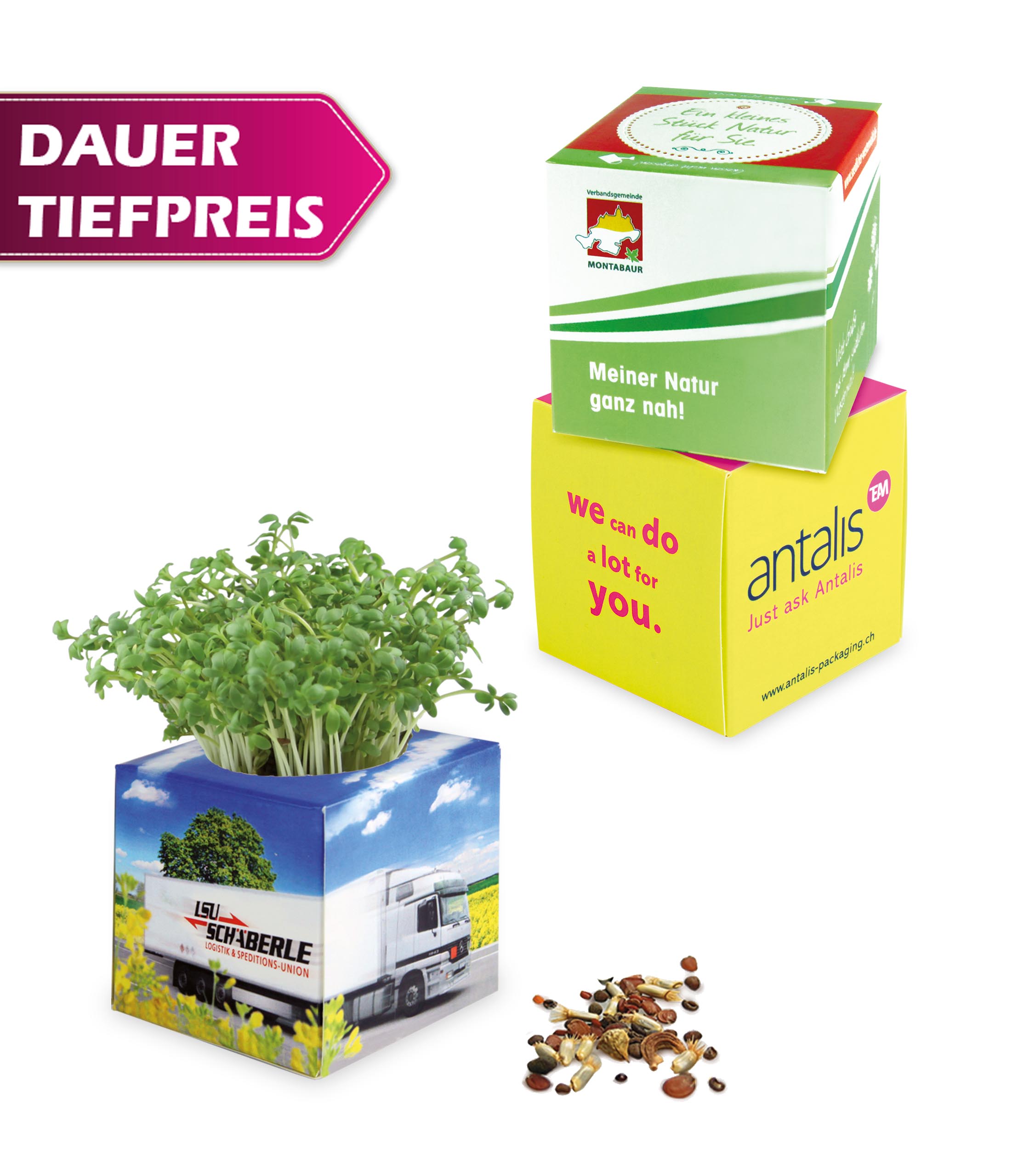 Pflanz-Würfel Pflanz-Würfel