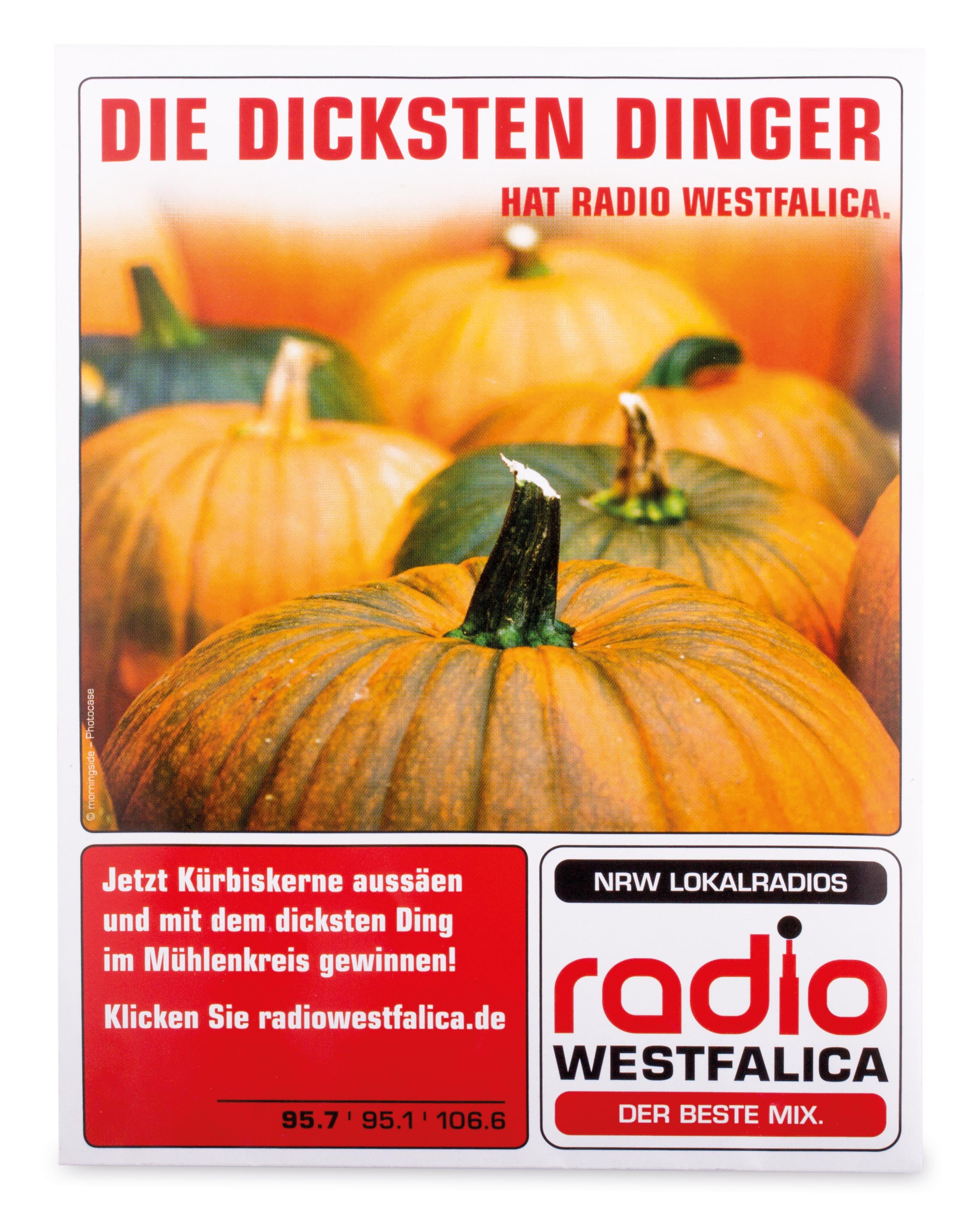 Samentütchen groß Samentütchen groß