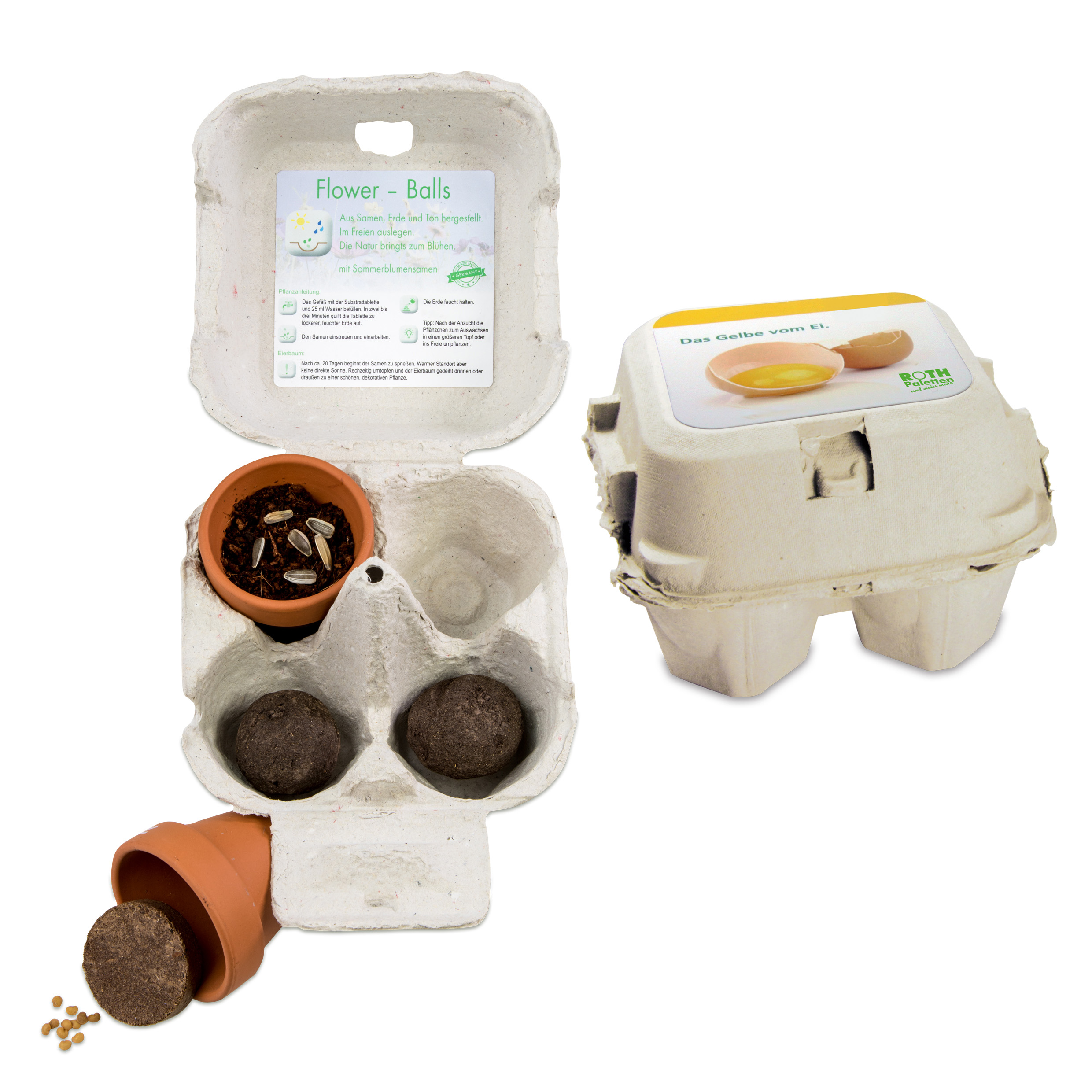 Das Grüne vom Ei - Green-Mix Box Das Grüne vom Ei - Green-Mix Box