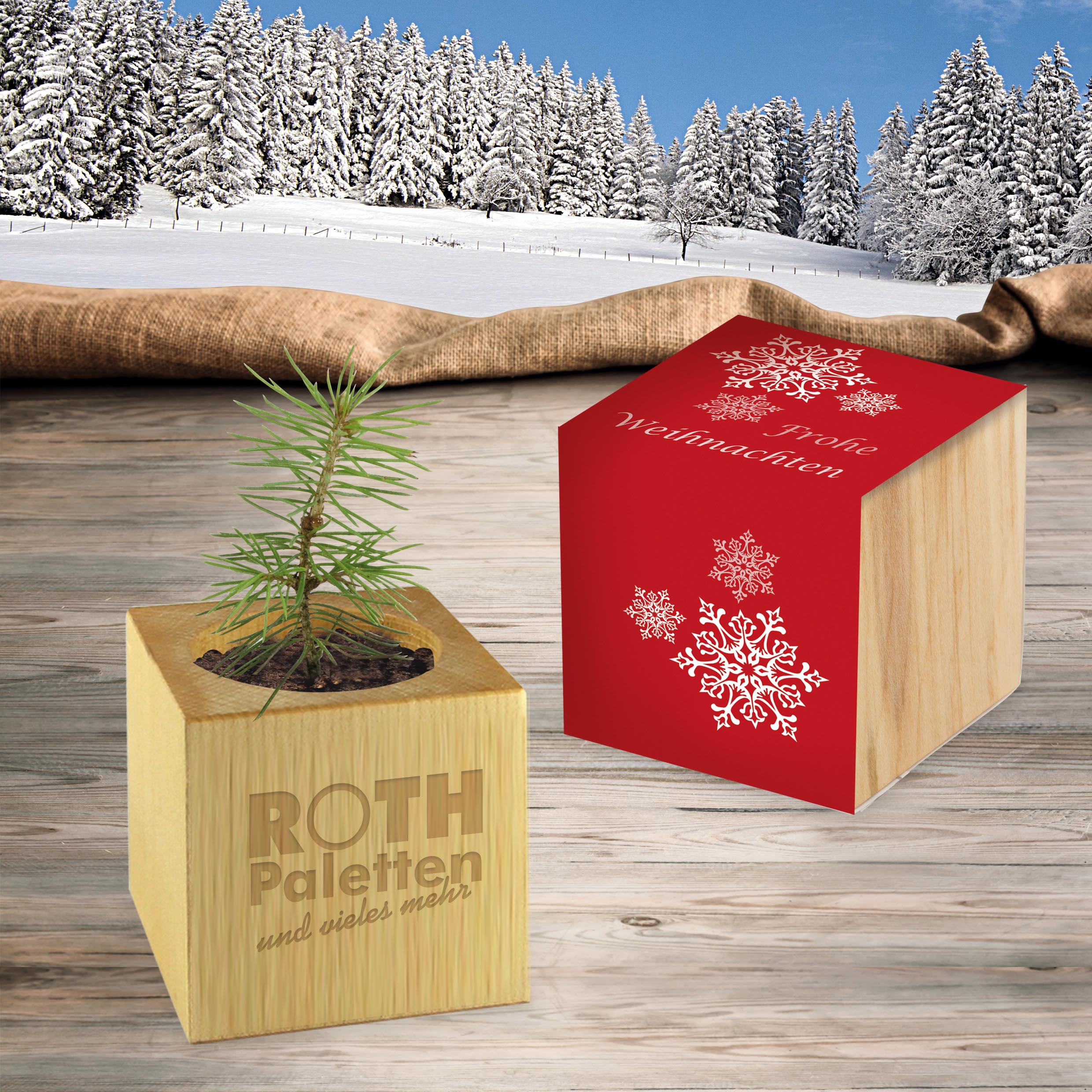 Pflanz-Holz Weihnachten Standardmotiv