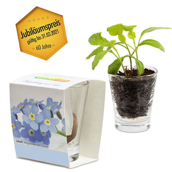 Caffeino-Glas Caffeino-Glas