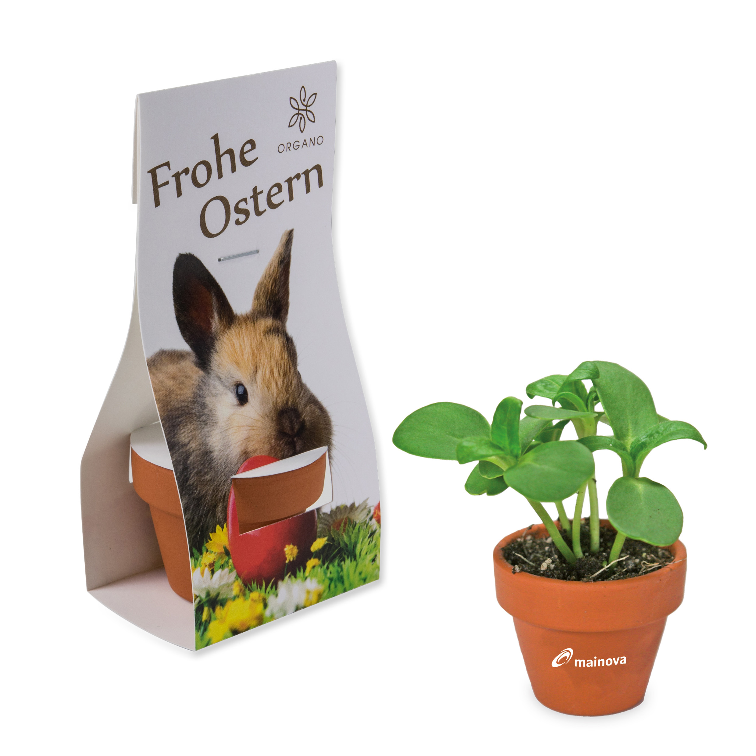 Logo-Töpfchen Übereichverpackung