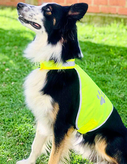 Korntex Stretchy Hi-Vis Safety Vest For Dogs Buenos Aires