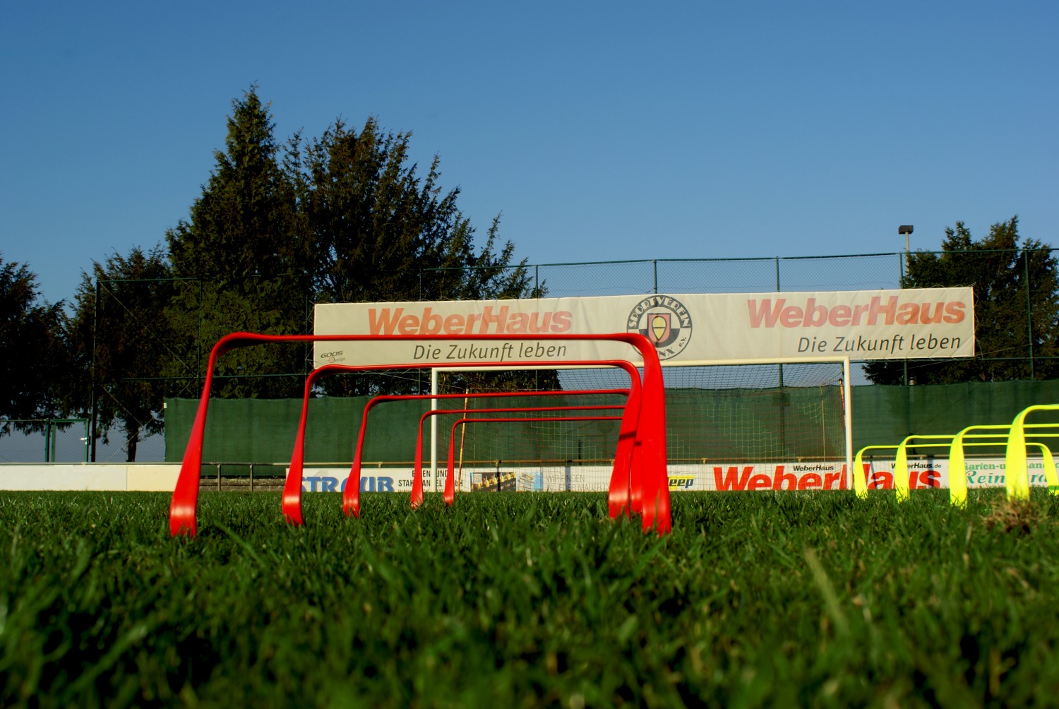 Flexible Hecke - 23cm Flexible Hecke - 23cm