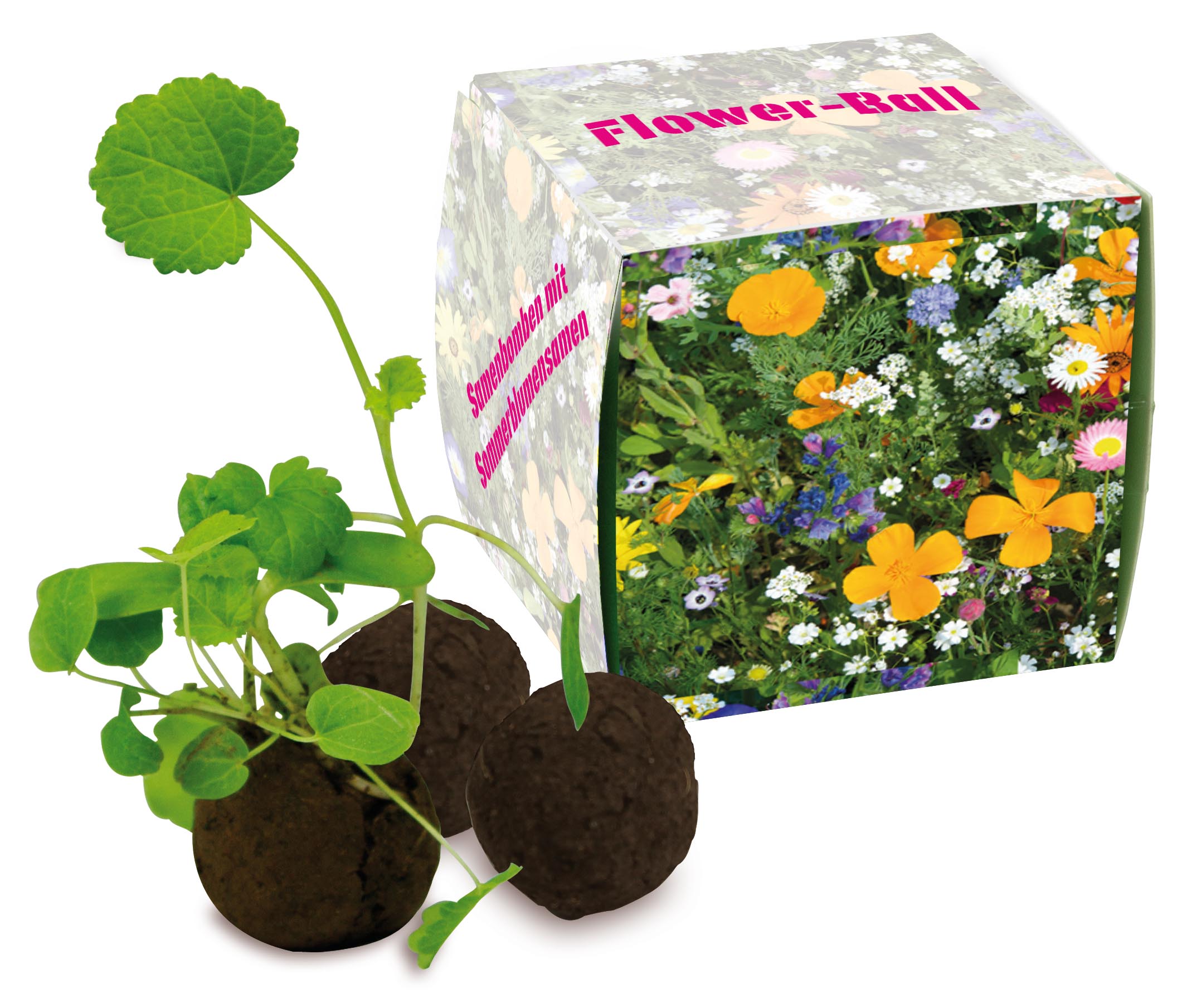 1 Flower-Ball Box