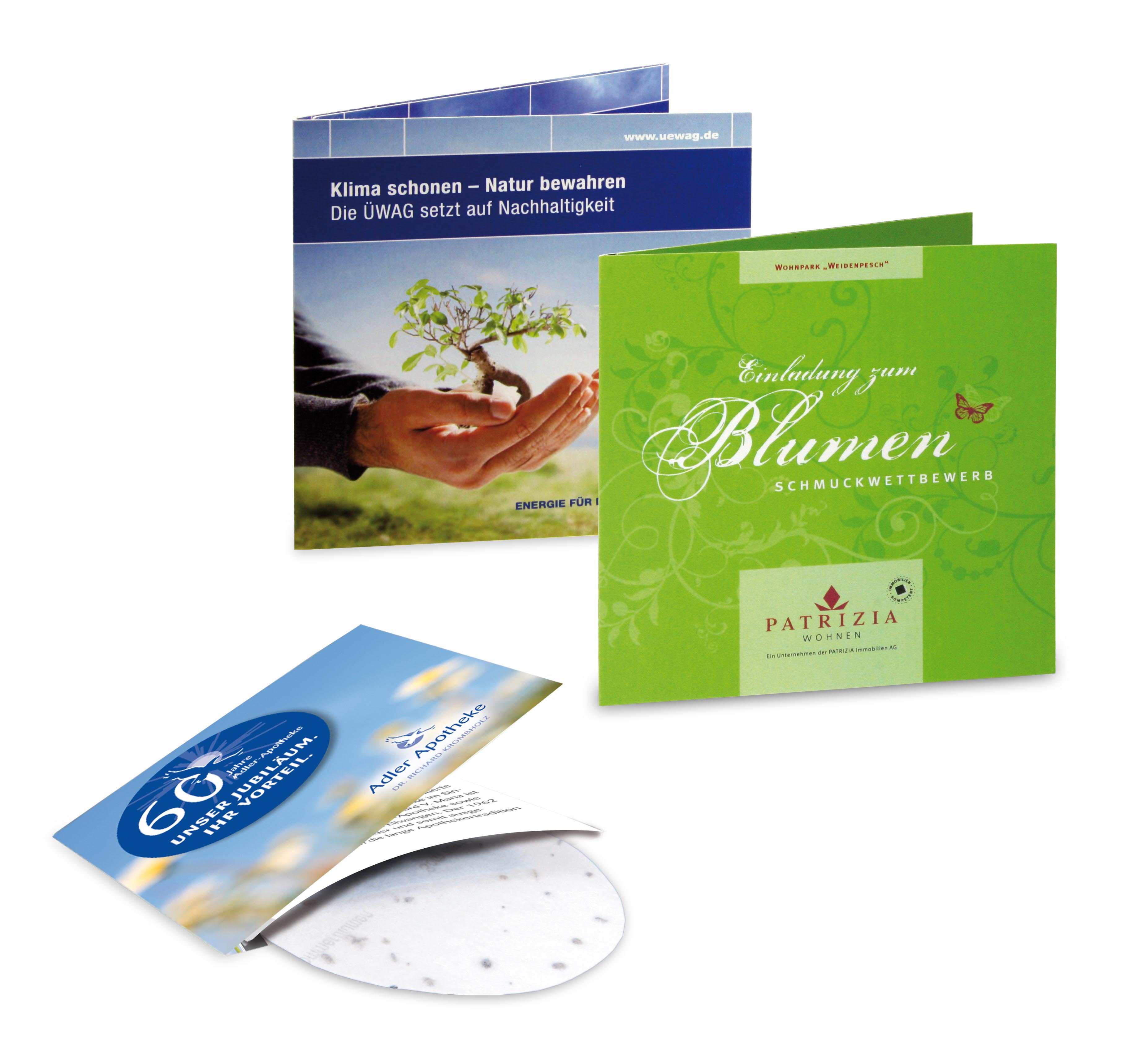 Green-Card Sommerblumen Green-Card Sommerblumen