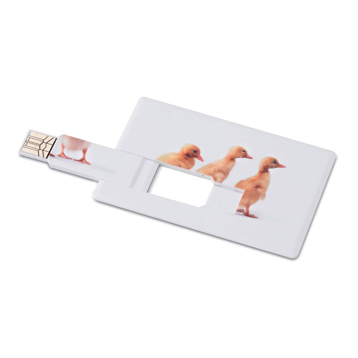 Creditcard. USB flash 4GB Creditcard. USB flash 4GB