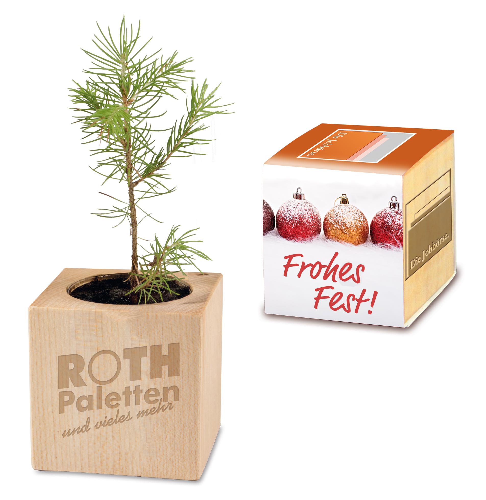 Pflanz-Holz X-mas Maxi Pflanz-Holz X-mas Maxi