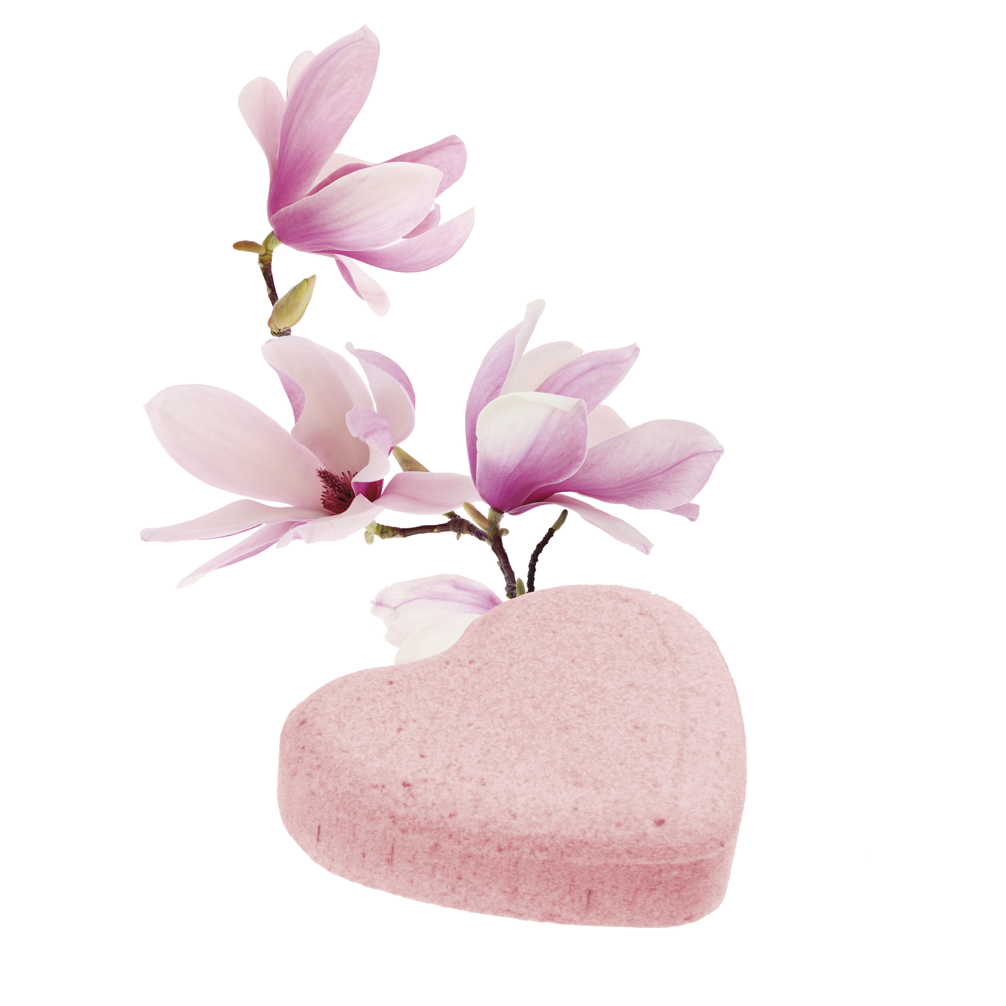 Badeherz Magnolia - Sachet mit Banderole